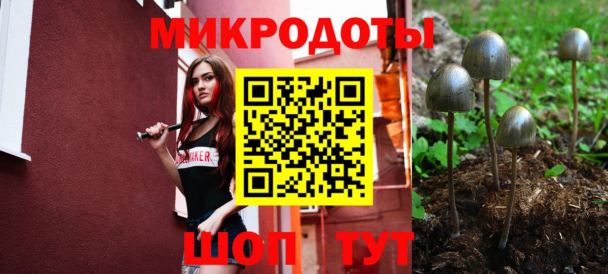 Псилоцибиновые грибы MAGIC MUSHROOMS Печора