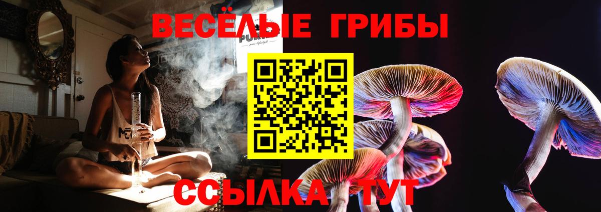 Печора  Галлюциногенные грибы ЛСД  Псилоцибиновые грибы Cubensis  Вход с VPN 